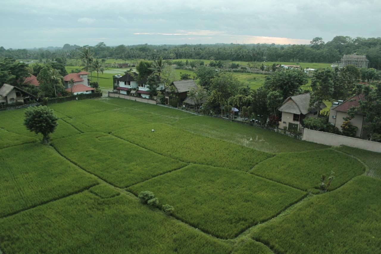 The Evitel Resort Ubud Exteriér fotografie