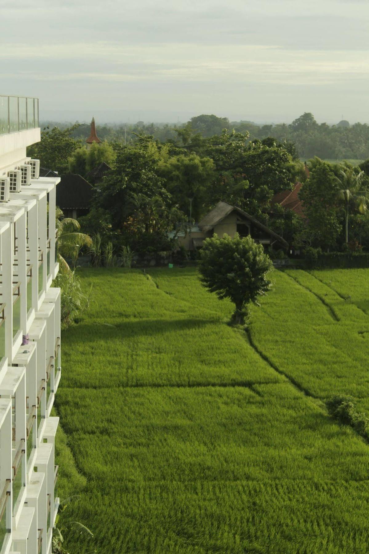 The Evitel Resort Ubud Exteriér fotografie